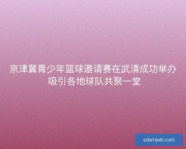 京津冀青少年篮球邀请赛在武清成功举办 吸引各地球队共聚一堂