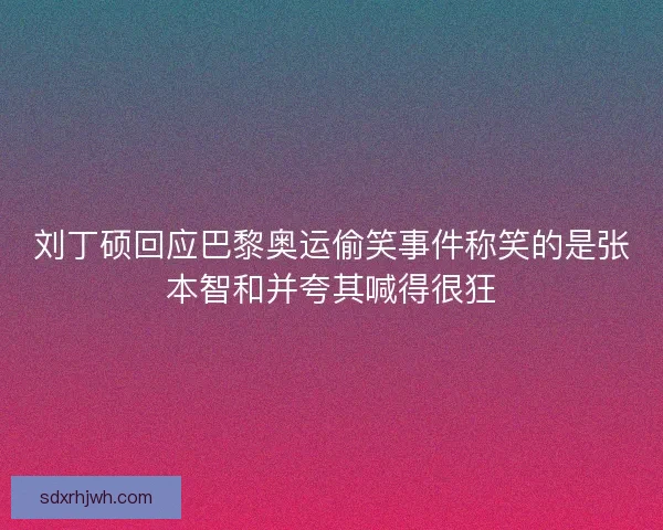 刘丁硕回应巴黎奥运偷笑事件称笑的是张本智和并夸其喊得很狂 刘丁硕回应巴黎奥运偷笑事件称笑的是张本智和并夸其喊得很狂
